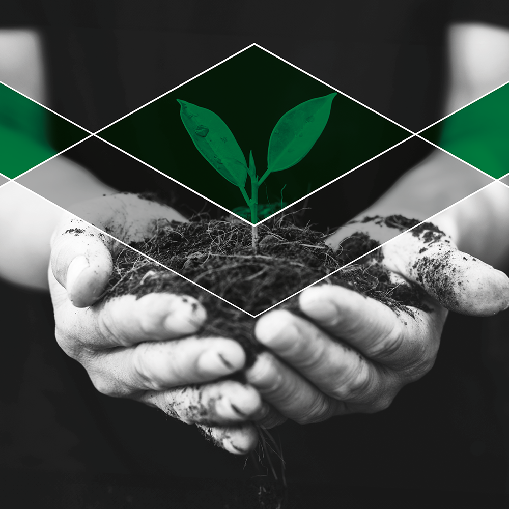 Modified Color Block and Partial Highlighted Image